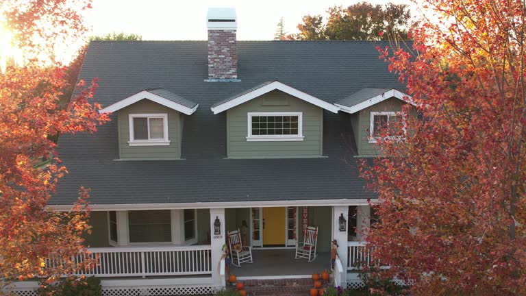 Best Green or Eco-Friendly Roofing Solutions  in East Moline, IL