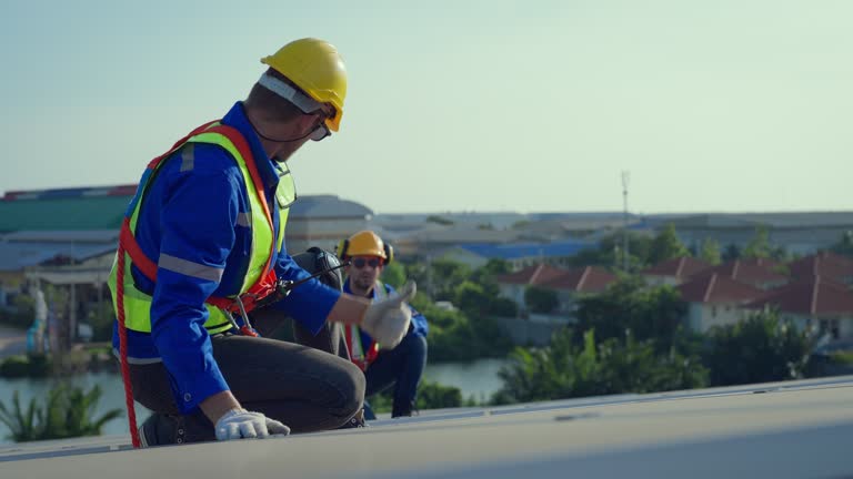 Best Skylight Installation and Repair  in East Moline, IL