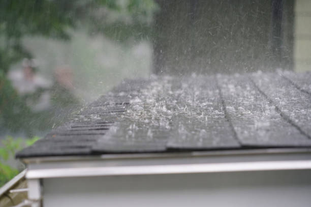 Best Solar Panel Roofing Installation  in East Moline, IL